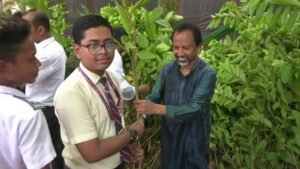 সিরাজগঞ্জ কালেক্টরেট স্কুলে প্রধানমন্ত্রীর বৃক্ষরোপণ কর্মসূচি