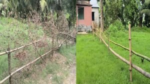 ‎আশুলিয়ায় বিধবার জমি দখলে নেওয়ার অভিযোগ
