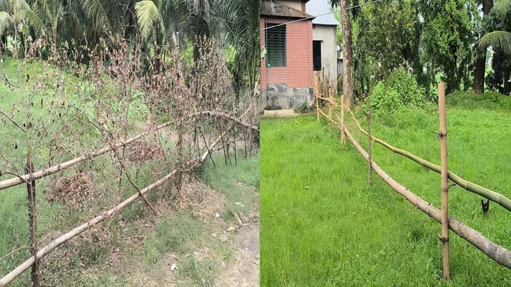 ‎আশুলিয়ায় বিধবার জমি দখলে নেওয়ার অভিযোগ