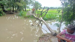 জনদুর্ভোগ এড়াতে কালভার্টের দাবি ছোট তালতলী গ্রামবাসীর
