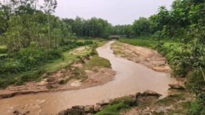 ঝিনাইগাতীর গারো পাহাড় ধ্বংসের পথে প্রশাসনের অভিযানেও থামছে না অবৈধ বালু উত্তোলন