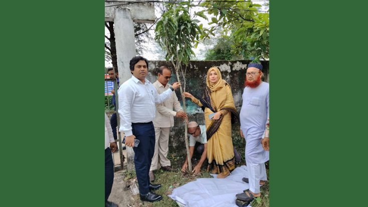 বরগুনার তালতলীতে ওয়ান চাইল্ড ওয়ান ট্রি কর্মসূচির আওতায় গাছের চারা বিতরণ