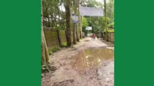 ভারী যানবাহন চলাচল করার সড়কের বেহাল দশা ঢালিরঘাট