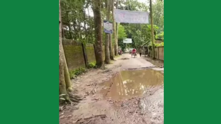 ভারী যানবাহন চলাচল করার সড়কের বেহাল দশা ঢালিরঘাট