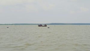 মেঘনা নদীতে মাছ ধরতে গিয়ে জেলের মৃত্যু