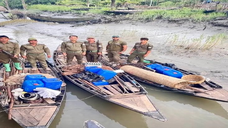 সুন্দরবনে বন-বিভাগের অভিযান বিপুল পরিমাণ বিষ ও শুটকি তৈরির সরঞ্জাম উদ্ধার