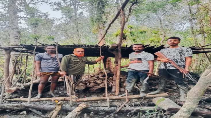 পুর্ব সুন্দরবনে বন বিভাগের অভিযানে শুটকি তৈরির আস্তানা ধংস আটক হয়নি কেউ