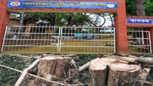 রামগড় পাহাড়াঞ্চল কৃষি গবেষনা কেন্দ্রে শ্রমিক আনসারের নিরাপত্তার মাঝেও সেগুনগাছ চুরি
