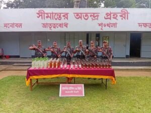 শেরপুর সীমান্তে ৭০৫ বোতল ভারতীয় মদ জব্দ, ধরাছোঁয়ার বাইরে মূল হোতারা