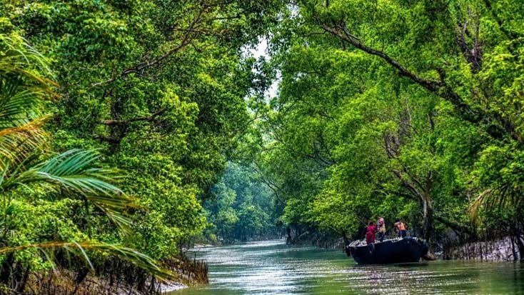 ‎সুন্দরবনে আবারো বড় জাহাঙ্গীর বাহিনীর তান্ডব ট্রলারসহ জিম্মি ৫